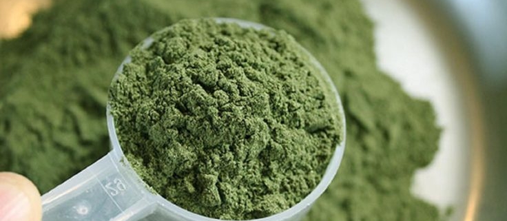 kratom where to buy