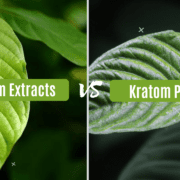 kratom extract vs powder
