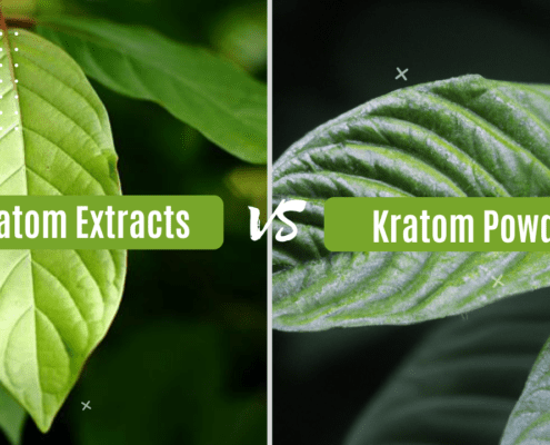 kratom extract vs powder