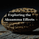 akuamma effects