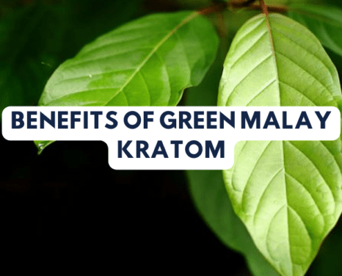 Benefits of Green Malay Kratom