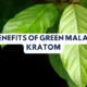 Benefits of Green Malay Kratom