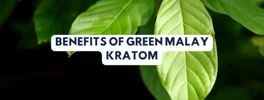 Benefits of Green Malay Kratom