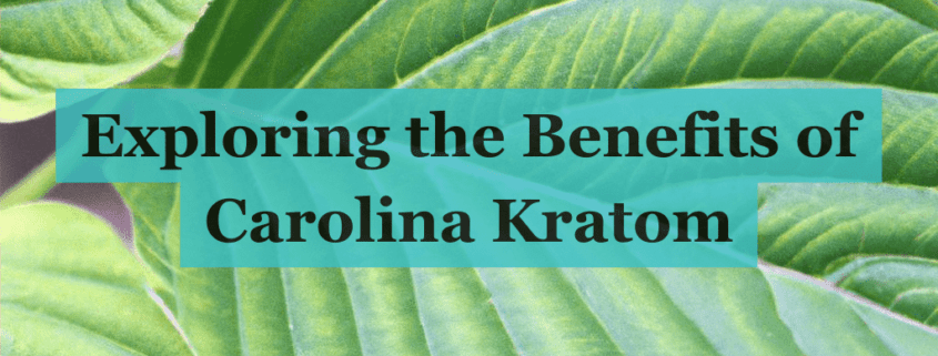 Carolina Kratom