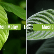 Green Vein Malay vs Maeng Da