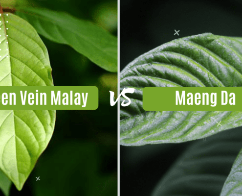 Green Vein Malay vs Maeng Da