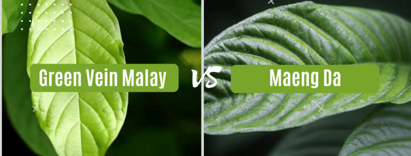 Green Vein Malay vs Maeng Da