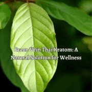 Green Vein Thai Kratom