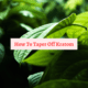 how to taper off kratom