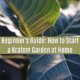 How to start a Kratom garden