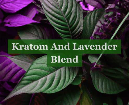 Kratom And Lavender