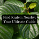 Kratom Nearby