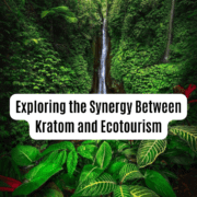 Kratom and ecotourism
