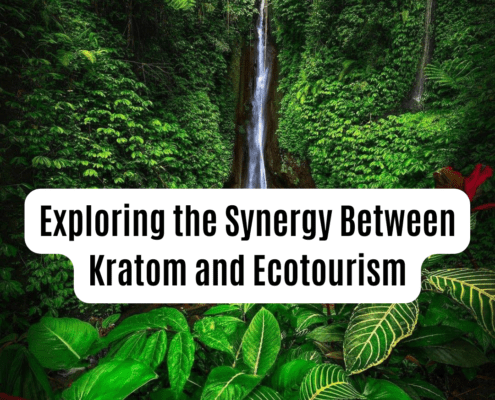 Kratom and ecotourism