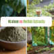 Kratom vs Herbal Extracts