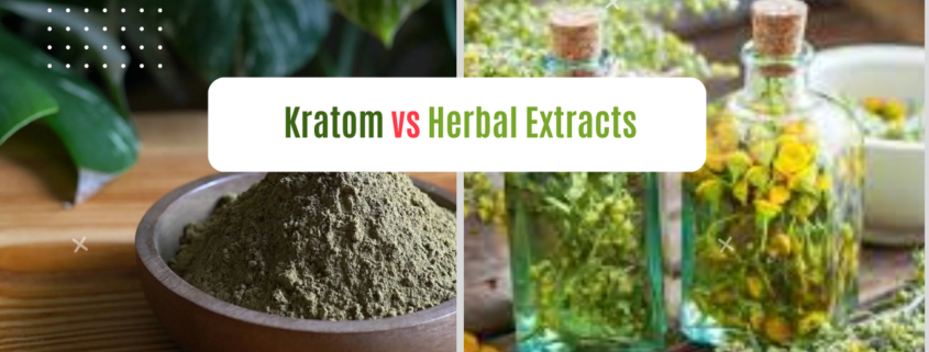 Kratom vs Herbal Extracts