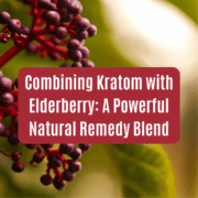 Kratom with elderberry