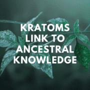 Kratoms link to ancestral knowledge