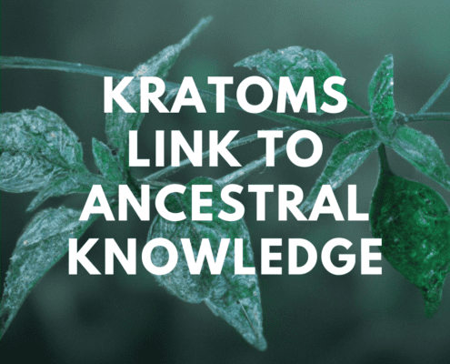 Kratoms link to ancestral knowledge