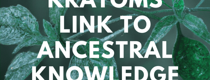 Kratoms link to ancestral knowledge