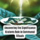 Kratoms Role in Communal Rituals