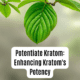 potentiate kratom