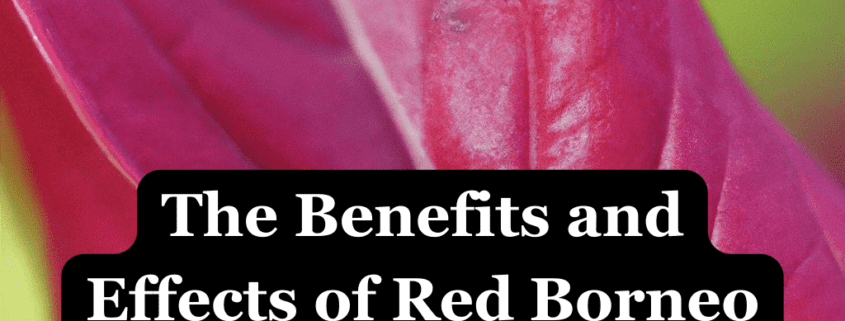 Red Borneo Kratom