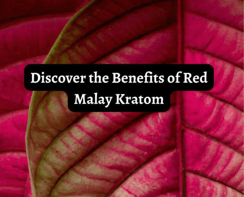 Red Malay Kratom