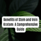 stem and vein kratom