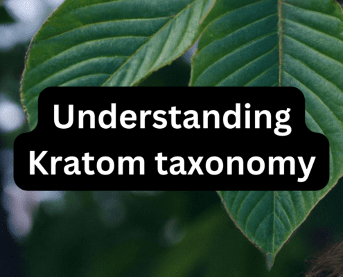 Understanding Kratom taxonomy