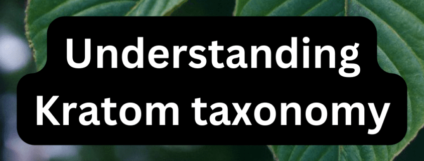 Understanding Kratom taxonomy