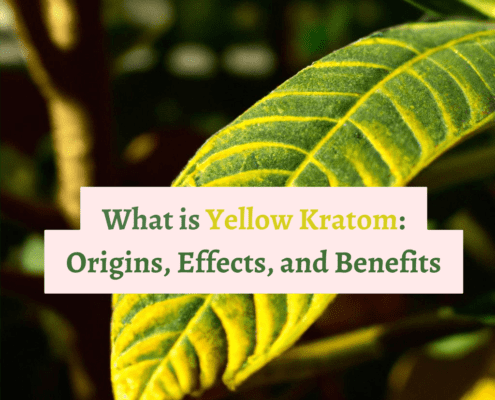 What is Yellow Kratom