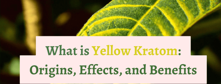 What is Yellow Kratom