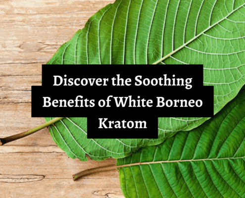 White Borneo Kratom