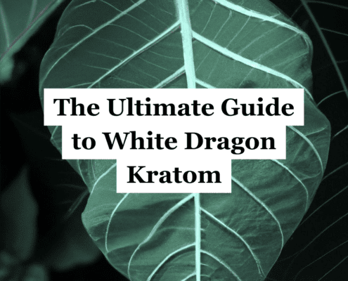 White Dragon Kratom