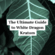 White Dragon Kratom