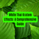 White Thai Kratom Effects