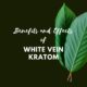 white vein kratom