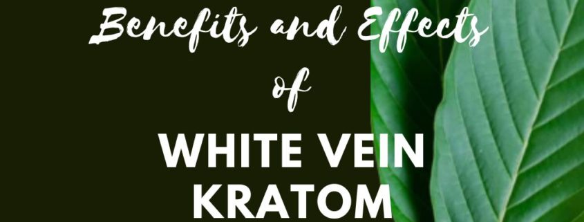 white vein kratom