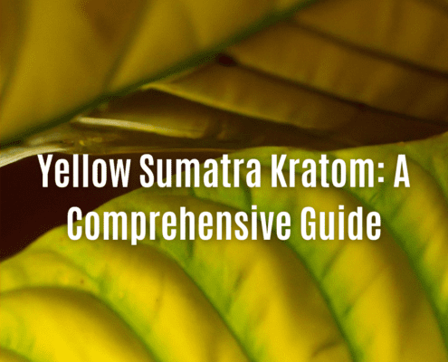 Yellow Sumatra Kratom