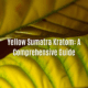 Yellow Sumatra Kratom