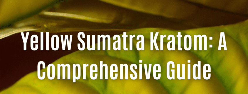 Yellow Sumatra Kratom