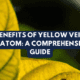 yellow vein kratom