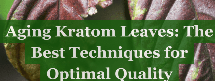 aging kratom leaves