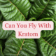 can you fly with kratom