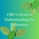 CBD vs Kratom