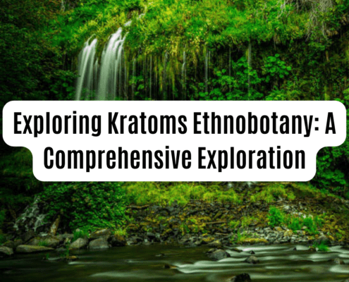 Exploring Kratoms ethnobotany