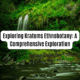 Exploring Kratoms ethnobotany
