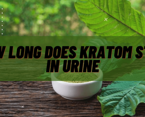 how long does kratom stay in urine