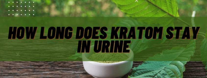 how long does kratom stay in urine